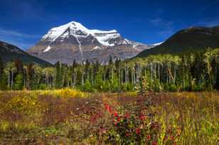 Mt. Robson-4138